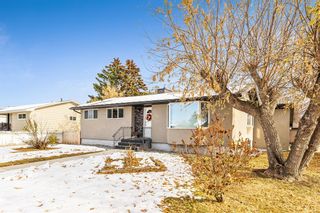 Photo 3: 98 2A Street SE: High River Detached for sale : MLS®# A2009378