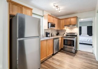 Photo 10: 303 924 18 Avenue SW in Calgary: Lower Mount Royal Apartment for sale : MLS®# A1224333