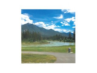 Photo 5: Lot 119 RIVERSIDE DRIVE in Fairmont Hot Springs: Vacant Land for sale : MLS®# 2468318