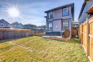 Photo 21: 452 Chaparral Valley Way SE in Calgary: Chaparral Detached for sale : MLS®# A1161859