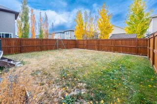 Photo 36: 2230 Brightoncrest Common SE in Calgary: New Brighton Detached for sale : MLS®# A2008057