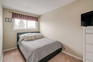 Photo 13: 3107 50 Street SW in Calgary: Glenbrook Semi Detached (Half Duplex) for sale : MLS®# A2101123