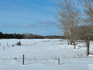 Photo 8: 225000 Hwy 661: Rural Athabasca County Rural Land/Vacant Lot for sale : MLS®# E4281023