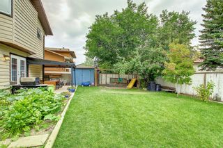 Photo 23: 28 Bedwood Road NE in Calgary: Beddington Heights Detached for sale : MLS®# A1211290