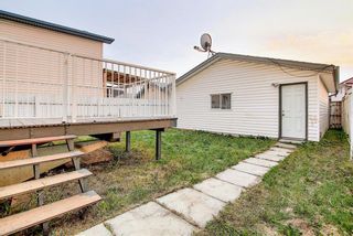 Photo 37: 165 Appleside Close SE in Calgary: Applewood Park Detached for sale : MLS®# A1136697