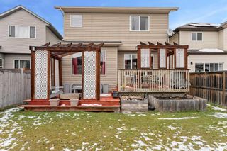 Photo 38: 31 Cranfield Link SE in Calgary: Cranston Detached for sale : MLS®# A2112770