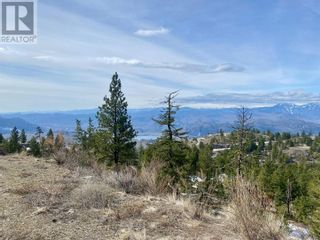 Photo 11: 300 PEREGRINE Place in Osoyoos: Vacant Land for sale : MLS®# 10308201