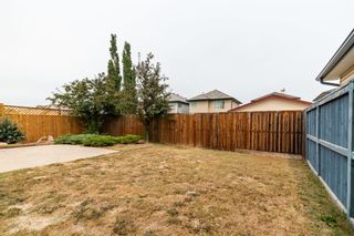 Photo 41: 12867 Coventry Hills Way NE in Calgary: Coventry Hills Detached for sale : MLS®# A1129976