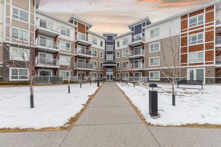 Main Photo: 2120 302 Skyview Ranch Drive NE in Calgary: Skyview Ranch Apartment for sale : MLS®# A2023573