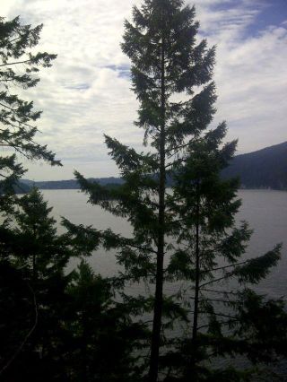 Photo 15: LOT 2&3 INDIAN ARM in Port Moody: Belcarra Land for sale : MLS®# R2752652
