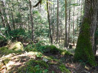 Photo 20: 9904 Castle Rd in Pender Island: GI Pender Island Land for sale (Gulf Islands)  : MLS®# 933137