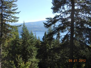 Photo 12: 3030 Vickers Trail in Anglemont: North Shuswap House for sale (Shuswap)  : MLS®# 10054853