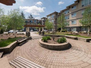 Photo 17: 421 2565 CAMPBELL Avenue in Abbotsford: Central Abbotsford Condo for sale in "Abacus" : MLS®# R2266079