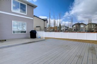 Photo 45: 133 Everwoods Court SW in Calgary: Evergreen Detached for sale : MLS®# A1201346