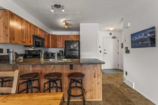 Photo 20: 124 300 Palliser Lane: Canmore Apartment for sale : MLS®# A2102458