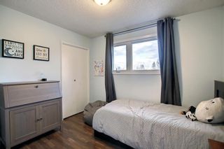 Photo 20: 331 Queen Anne Way SE in Calgary: Queensland Detached for sale : MLS®# A1179849