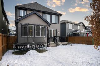 Photo 30: 156 Masters Rise SE in Calgary: Mahogany Detached for sale : MLS®# A2019081