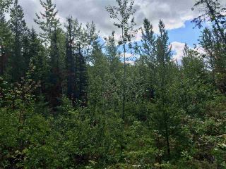 Photo 6: LOT 10 ISLAND PARK Drive in Prince George: Miworth Land for sale (PG Rural West (Zone 77))  : MLS®# R2388123