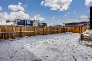 Photo 37: 1547 Ravensmoor Way SE: Airdrie Detached for sale : MLS®# A1175972