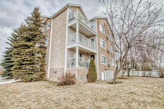 Photo 25: 203 6148 Bowness Road NW in Calgary: Bowness Apartment for sale : MLS®# A2037442