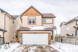 Main Photo: 283 Martin Crossing Place NE in Calgary: Martindale Detached for sale : MLS®# A1172732