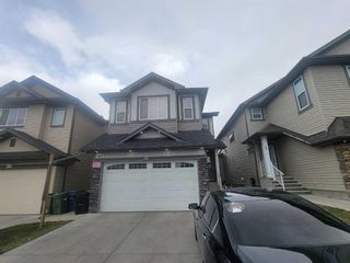 Main Photo: 323 Martin Crossing Place NE in Calgary: Martindale Detached for sale : MLS®# A2133887