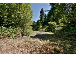 Photo 12: 651 INGLEWOOD Avenue in West Vancouver: Cedardale Land for sale in "CEDARDALE" : MLS®# V1019564