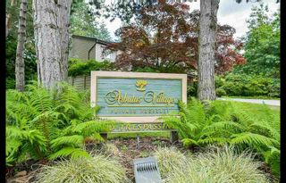 Photo 1: 202 4101 Yew Street in Vancouver: Arbutus Condo for sale (Vancouver West)  : MLS®# R2383784