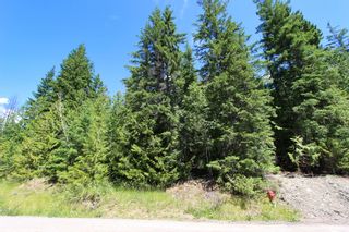 Photo 7: Lot 212 Estate Place in Anglemont: North Shuswap Land Only for sale : MLS®# 10233839