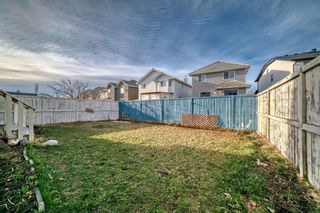 Photo 22: 123 Coral Springs Court NE in Calgary: Coral Springs Detached for sale : MLS®# A2122685