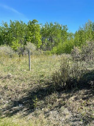 Photo 3: W: 5 R:3 T:26 S:3 SE Whitetail Road in Rural Rocky View County: Rural Rocky View MD Residential Land for sale : MLS®# A1118312