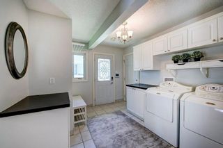 Photo 23: 10907 WILLOWFERN Drive SE in Calgary: Willow Park Detached for sale : MLS®# C4304944