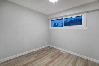 Photo 15: 4 Van Horne Crescent NE in Calgary: Vista Heights Detached for sale : MLS®# A2133720