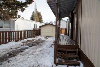 Photo 4: 290 3223 83 Street NW in Calgary: Bowness Mobile for sale : MLS®# A2012089