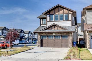 Photo 50: 449 Skyview Ranch Way NE in Calgary: Skyview Ranch Detached for sale : MLS®# A2007976