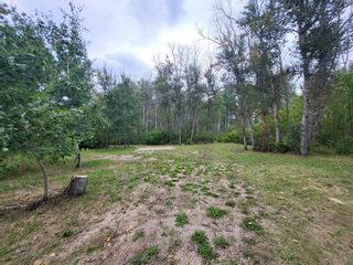 Photo 13: 0 Road 13E, 1/2 Mile North of 117N Highway in Meleb: RM of Armstrong Residential for sale (R19)  : MLS®# 202320621