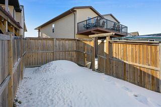 Photo 29: 84 Panora Close NW in Calgary: Panorama Hills Detached for sale : MLS®# A2020962