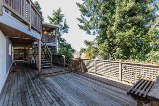 Photo 18: 11625 99 Avenue in Surrey: Royal Heights House for sale in "Royal Heights" (North Surrey)  : MLS®# R2159373