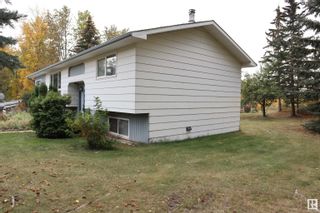 Photo 36: 4701 22 Street: Rural Wetaskiwin County House for sale : MLS®# E4335328