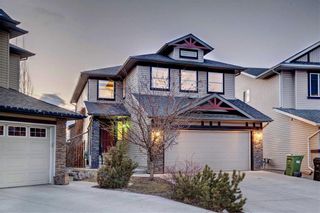Photo 1: 155 CHAPALINA Mews SE in Calgary: Chaparral Detached for sale : MLS®# C4247438