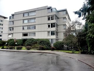Photo 15: 303 1750 ESQUIMALT Avenue in West Vancouver: Ambleside Condo for sale in "ESQUIMALT TOWERS" : MLS®# R2742987