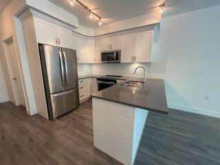 Photo 5: 103 2436 KELLY Avenue in Port Coquitlam: Central Pt Coquitlam Condo for sale in "LUMIERE" : MLS®# R2573249