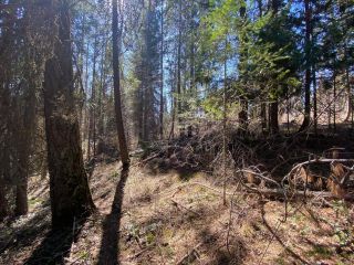 Photo 10: Lot L VIEW RIDGE ROAD in Nelson: Vacant Land for sale : MLS®# 2460797