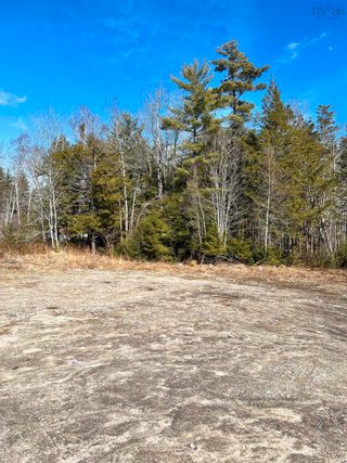 Photo 14: 86 Ohio Road in Shelburne: 407-Shelburne County Residential for sale (South Shore)  : MLS®# 202204333