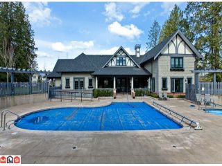 Photo 9: 19 20875 80TH Avenue in Langley: Willoughby Heights Townhouse for sale in "Pepperwood"