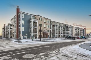 Photo 31: 3104 215 Legacy Boulevard SE in Calgary: Legacy Apartment for sale : MLS®# A1168365