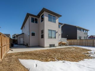 Photo 30: 39 Rainbow Falls Boulevard: Chestermere Detached for sale : MLS®# A1080652