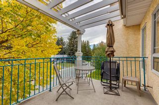 Photo 13: 316 9449 19 Street SW in Calgary: Palliser Apartment for sale : MLS®# A1173125