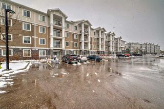 Photo 4: 3309 522 Cranford Drive SE in Calgary: Cranston Apartment for sale : MLS®# A2119096