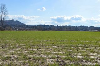 Photo 9: 34570 CLAYBURN Road in Abbotsford: Matsqui House for sale : MLS®# R2859368